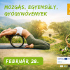 Mozgás-egyensúly-gyógynövények Mozgás-egyensúly-gyógynövények